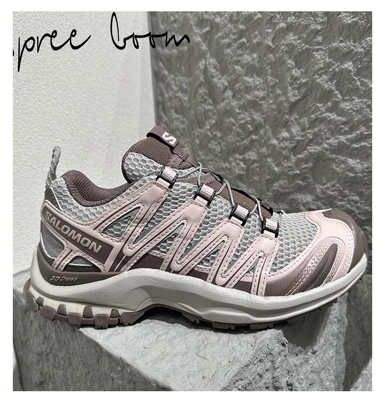 Salomon XA Pro 3D Seasonal Grey - Beige / Brown