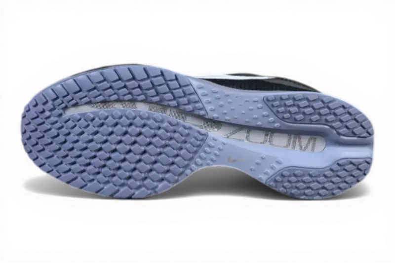 Nike Pegasus Premium – Anthracite Running Shoes HQ2592-006