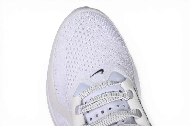 Nike Pegasus Premium Running Shoes – White / Metallic Silver HQ2592-102
