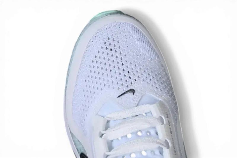 Nike Pegasus Premium – White / Mint Foam Running Shoes HQ2592-004