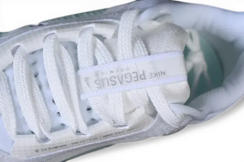 Nike Pegasus Premium – White / Mint Foam Running Shoes HQ2592-004