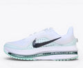 Nike Pegasus Premium – White / Mint Foam Running Shoes HQ2592-004