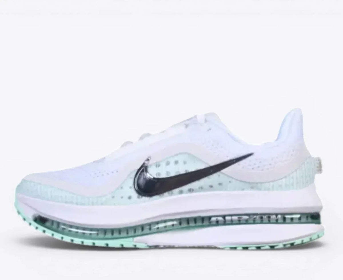 Nike Pegasus Premium – White / Mint Foam Running Shoes HQ2592-004